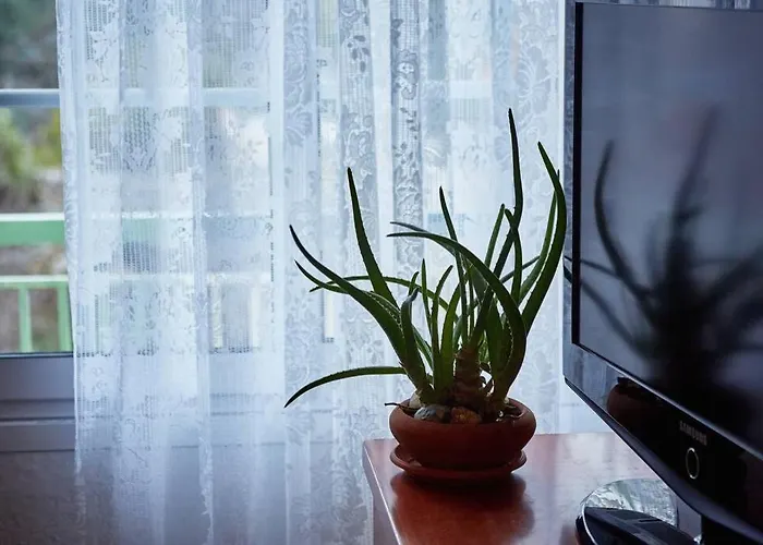 Art Luxury Designer Appartement